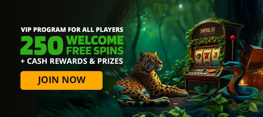 VIP Program For All Players 250 Welcome Free Spins + Cash Rewards & Prizes