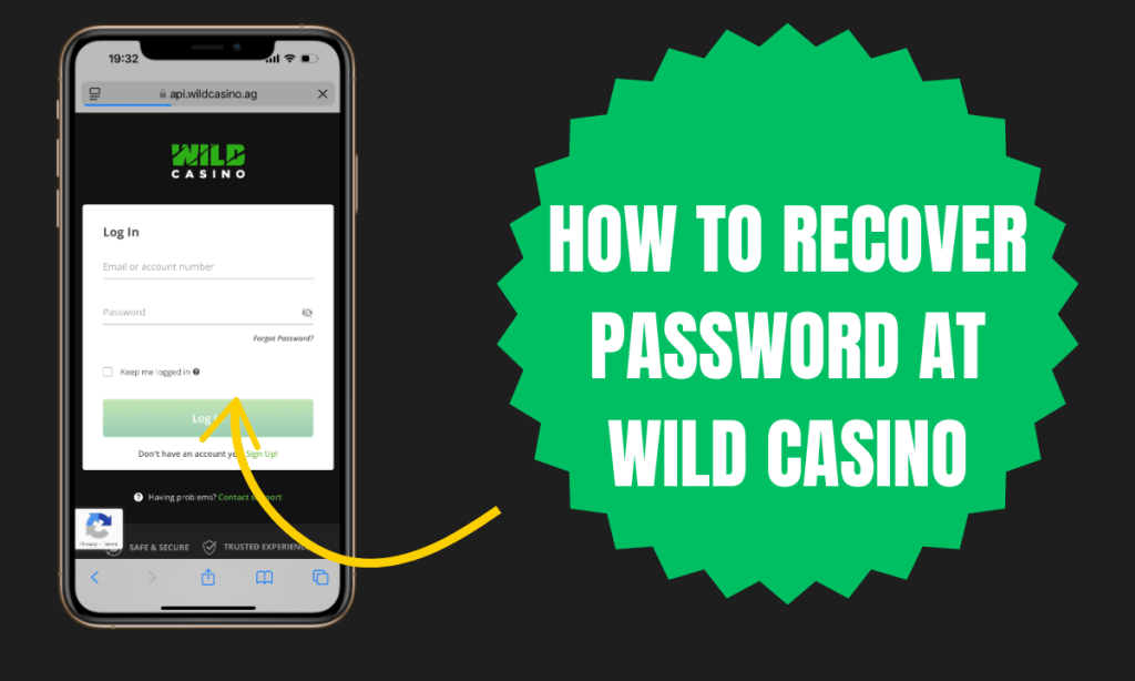 Recover Password At Wild Casino
